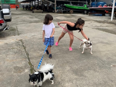 Venda de Marina em Cubatão - São Paulo. 