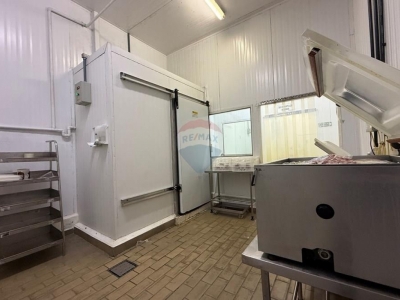 FRIGORIFICO DE CARNES bovino,suino e Aves