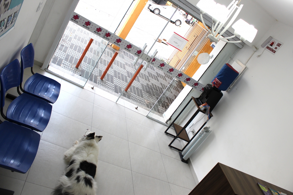 CLÍNICA VETERINÁRIA COM INSTALAÇÕES E EQUIPAMENTO PRONTA PARA TRABALHAR AV PRINCIPAL DA ZONA LESTE SP