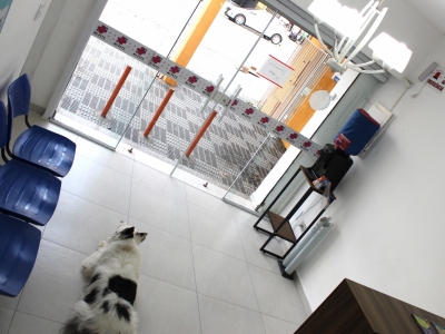 CLÍNICA VETERINÁRIA COM INSTALAÇÕES E EQUIPAMENTO PRONTA PARA TRABALHAR AV PRINCIPAL DA ZONA LESTE SP