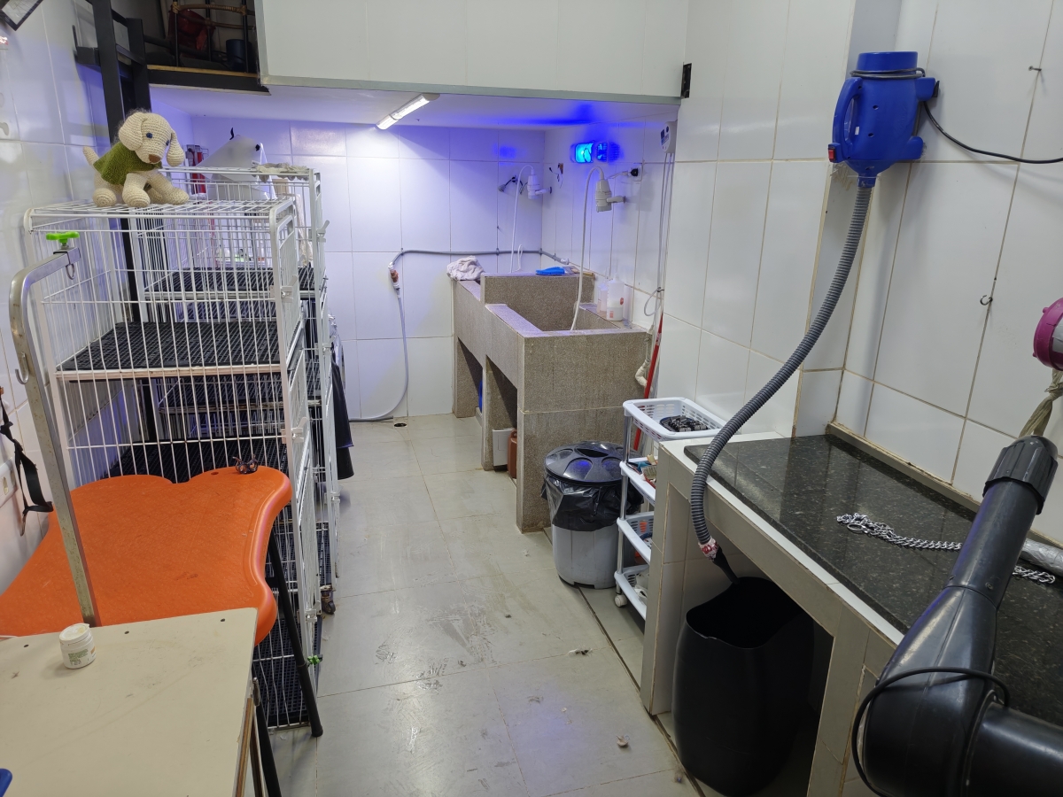 Vendo Pet shop com banho e tosa 
