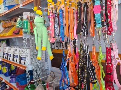 Vendo Pet shop com banho e tosa 