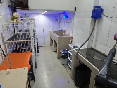 Vendo Pet shop com banho e tosa 