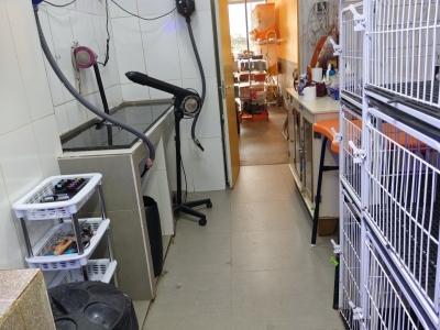 Vendo Pet shop com banho e tosa 