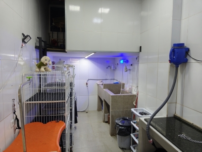 Vendo Pet shop com banho e tosa 