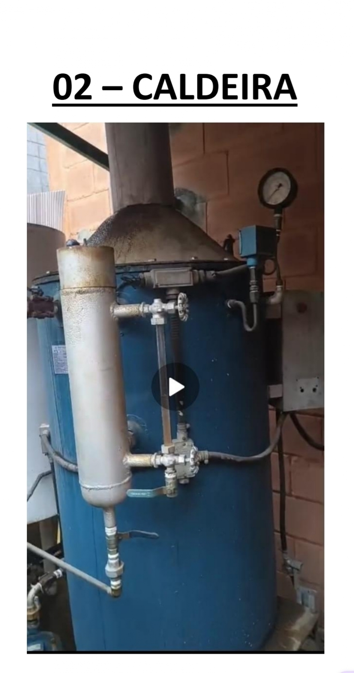 VENDO FABRICA DE ALIMENTOS PARA PET