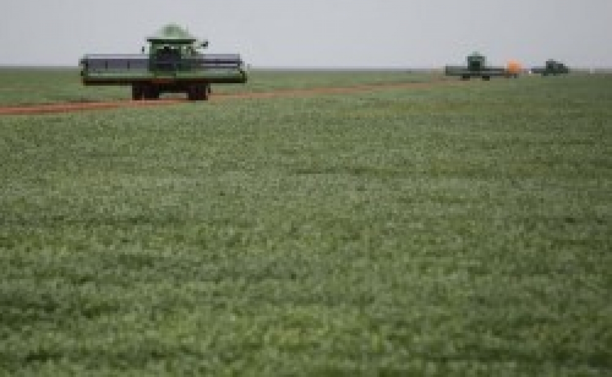 VENDO FAZENDA 8000 HA
