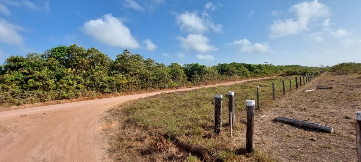 Vendo fazenda no Pará