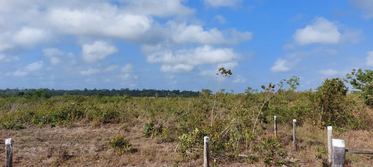 Vendo fazenda no Pará