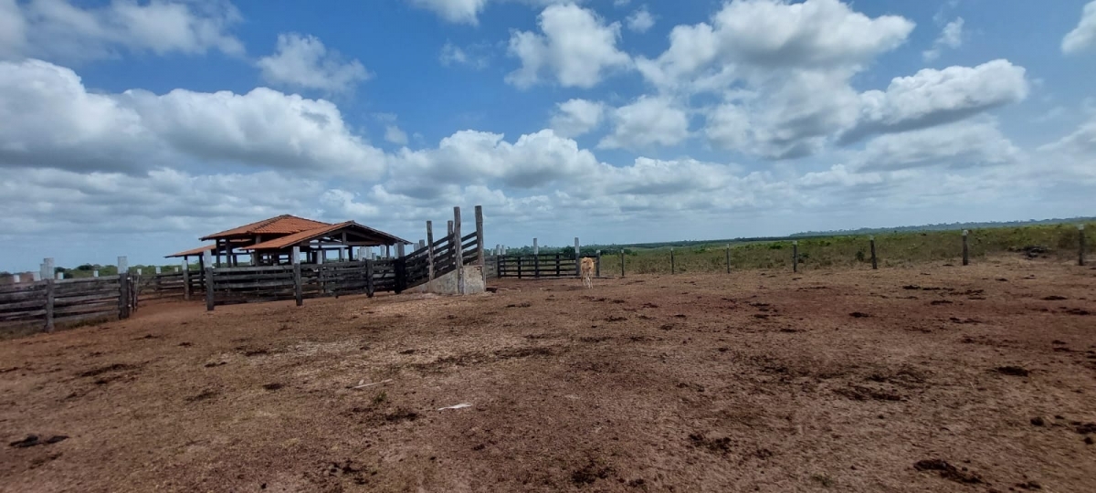 Vendo fazenda no Pará