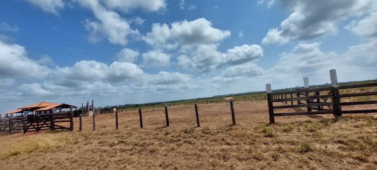 Vendo fazenda no Pará