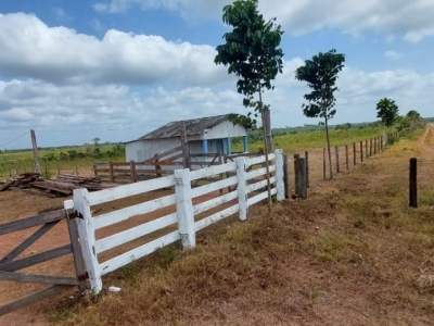 Vendo fazenda no Pará