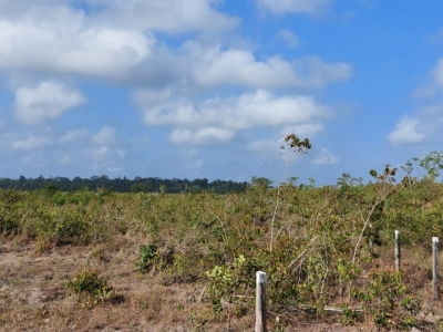 Vendo fazenda no Pará