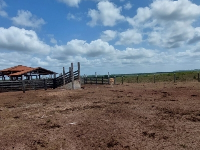 Vendo fazenda no Pará