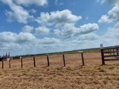 Vendo fazenda no Pará