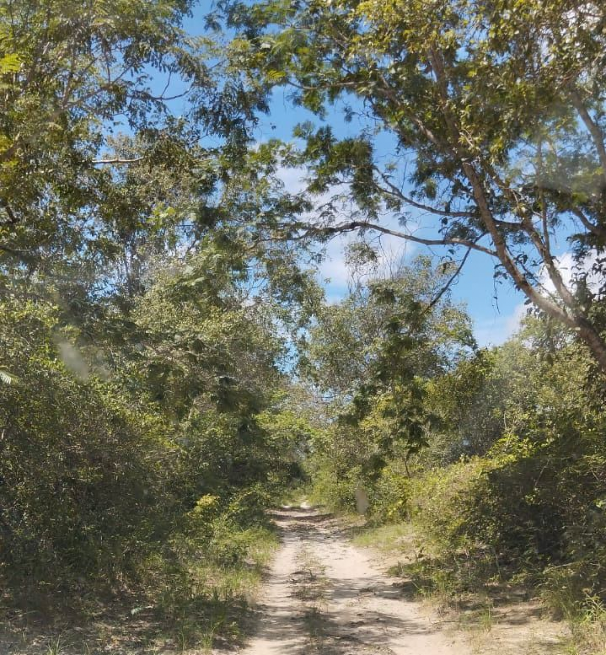 VENDO FAZENDA No Piauí