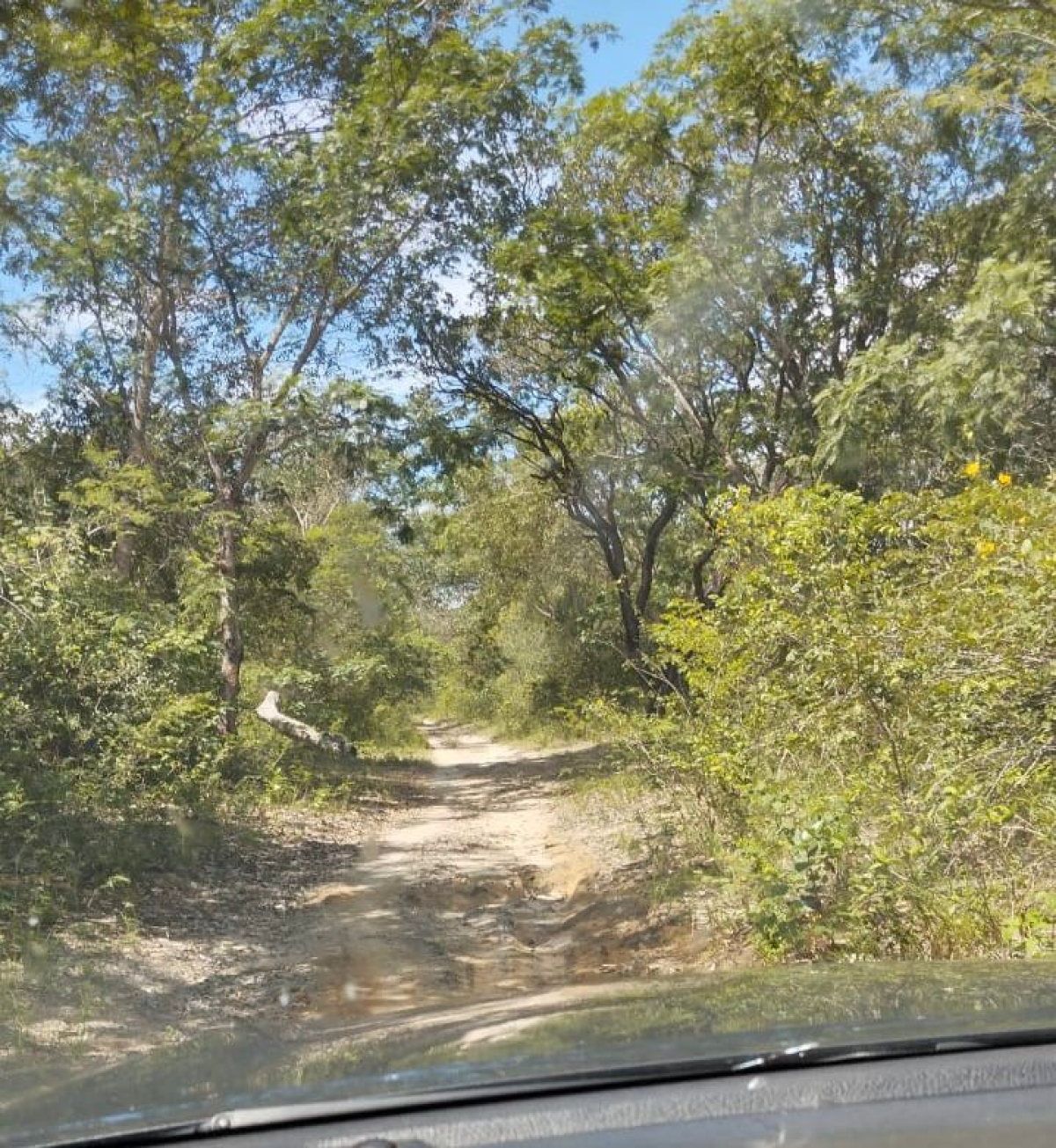 VENDO FAZENDA No Piauí