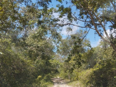 VENDO FAZENDA No Piauí