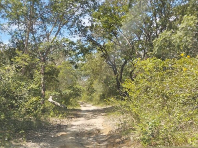 VENDO FAZENDA No Piauí