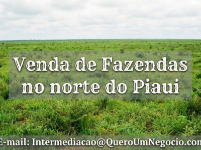 VENDO FAZENDA 2.000 HÁ NO NO NORTE DO PIAUÍ