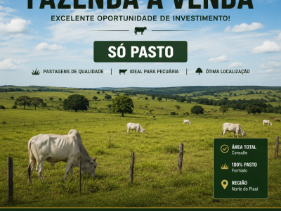 VENDO FAZENDA 540 Há