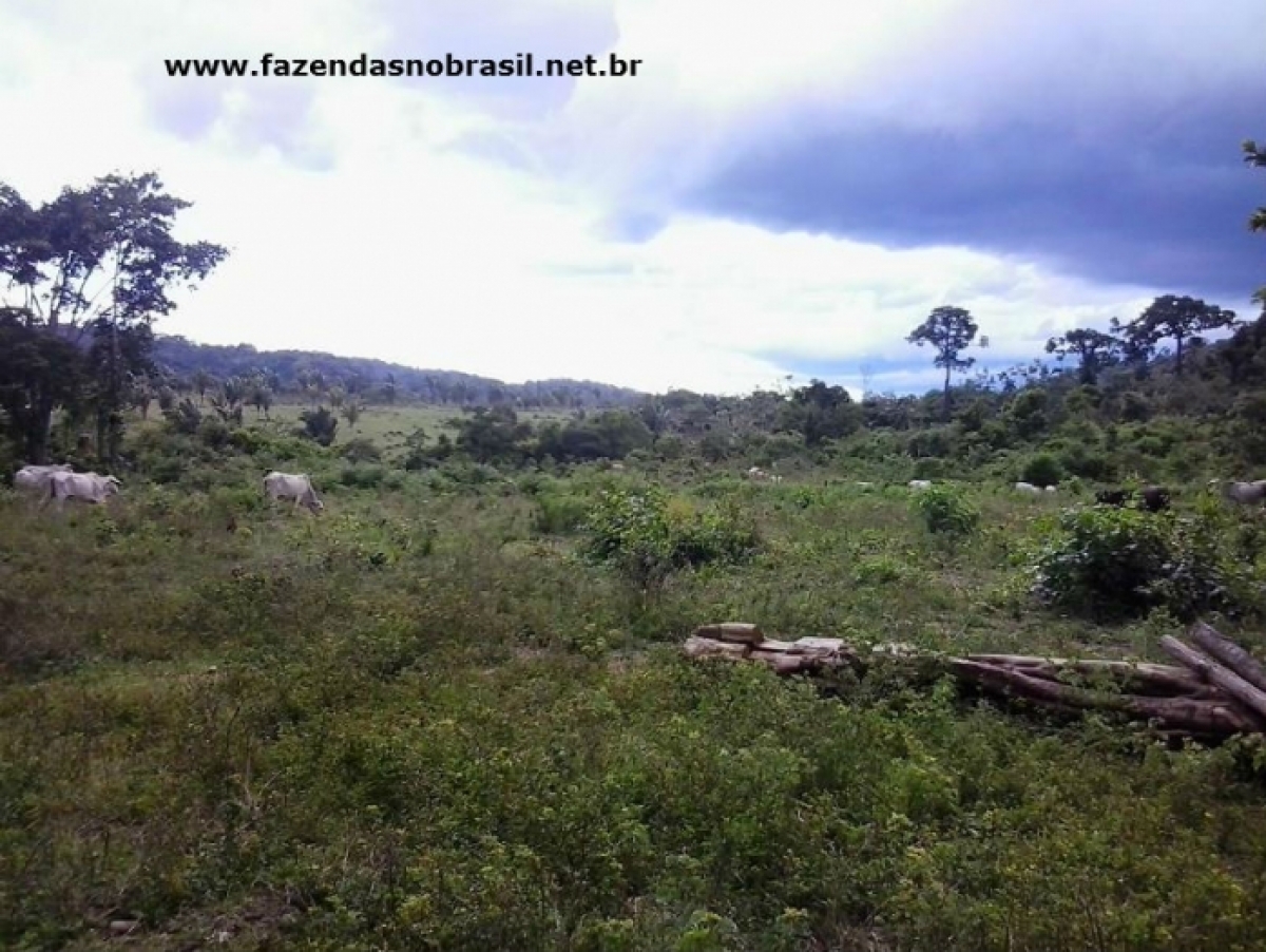 VENDO FAZENDA 490 HÁ