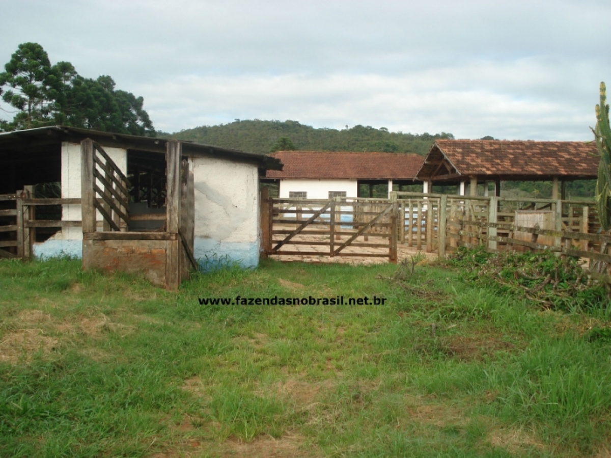 VENDO FAZENDA 245 HÁ