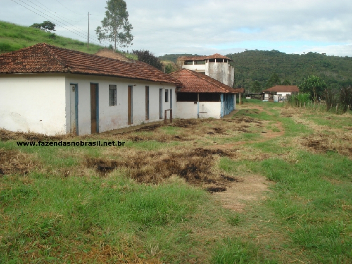 VENDO FAZENDA 245 HÁ