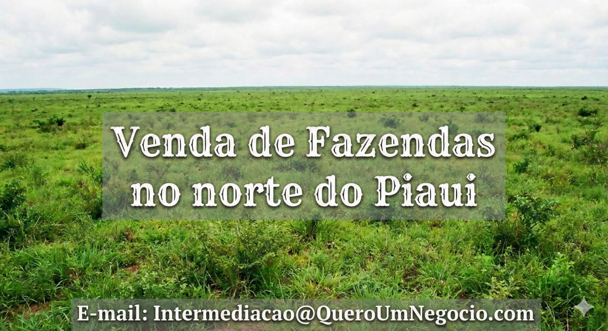 VENDO FAZENDAS NO NORTE DO PIAUÍ – ALTA PRODUTIVIDADE E LOGÍSTICA