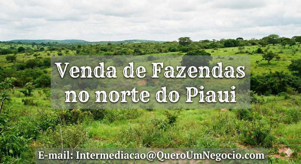 EXCELENTE FAZENDA À VENDA NO NORTE DO PIAUÍ