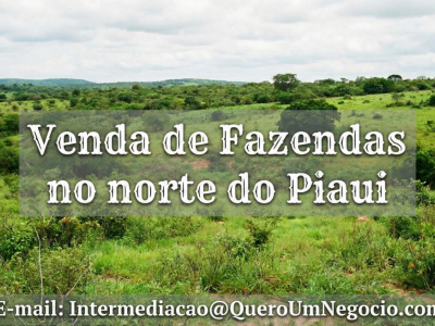 EXCELENTE FAZENDA À VENDA NO NORTE DO PIAUÍ