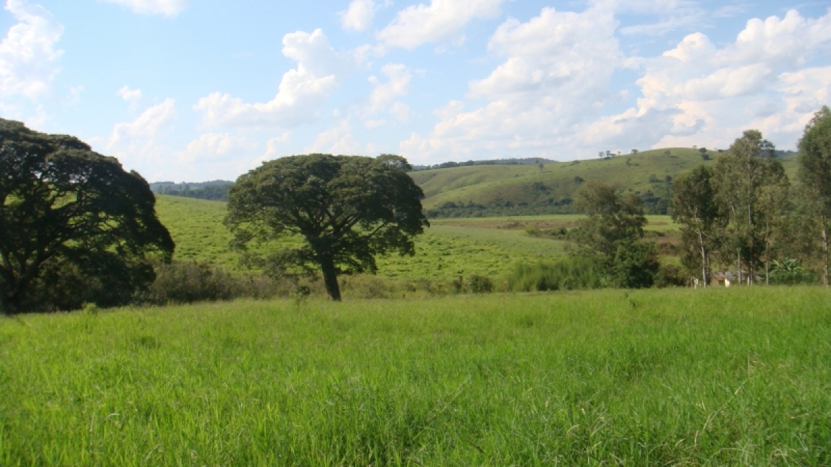 fazenda com 222 alq , com benfeitorias modestas