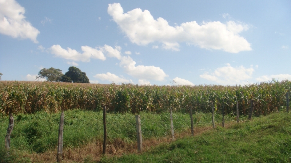 fazenda com 222 alq , com benfeitorias modestas