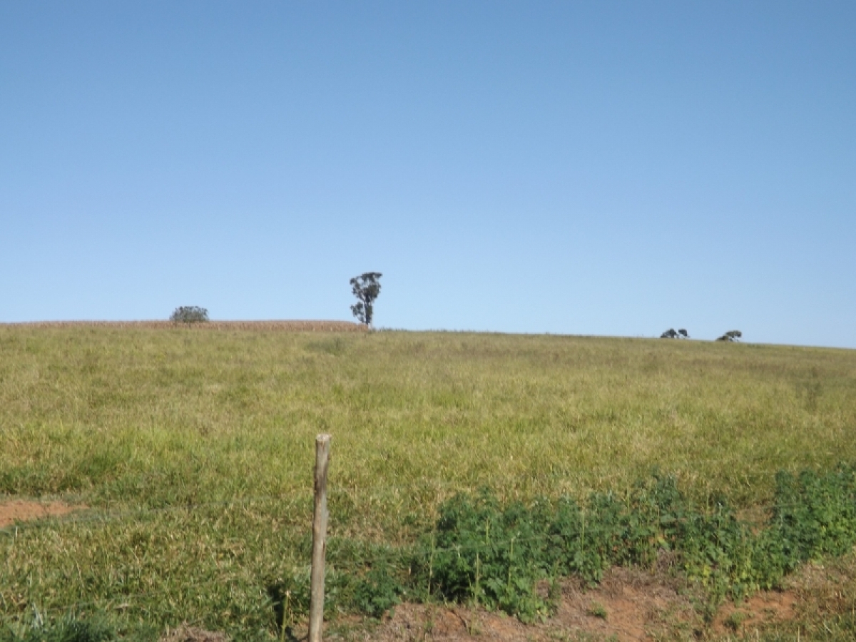 fazenda com 222 alq , com benfeitorias modestas