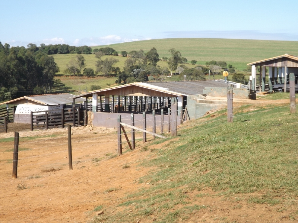 fazenda com 222 alq , com benfeitorias modestas