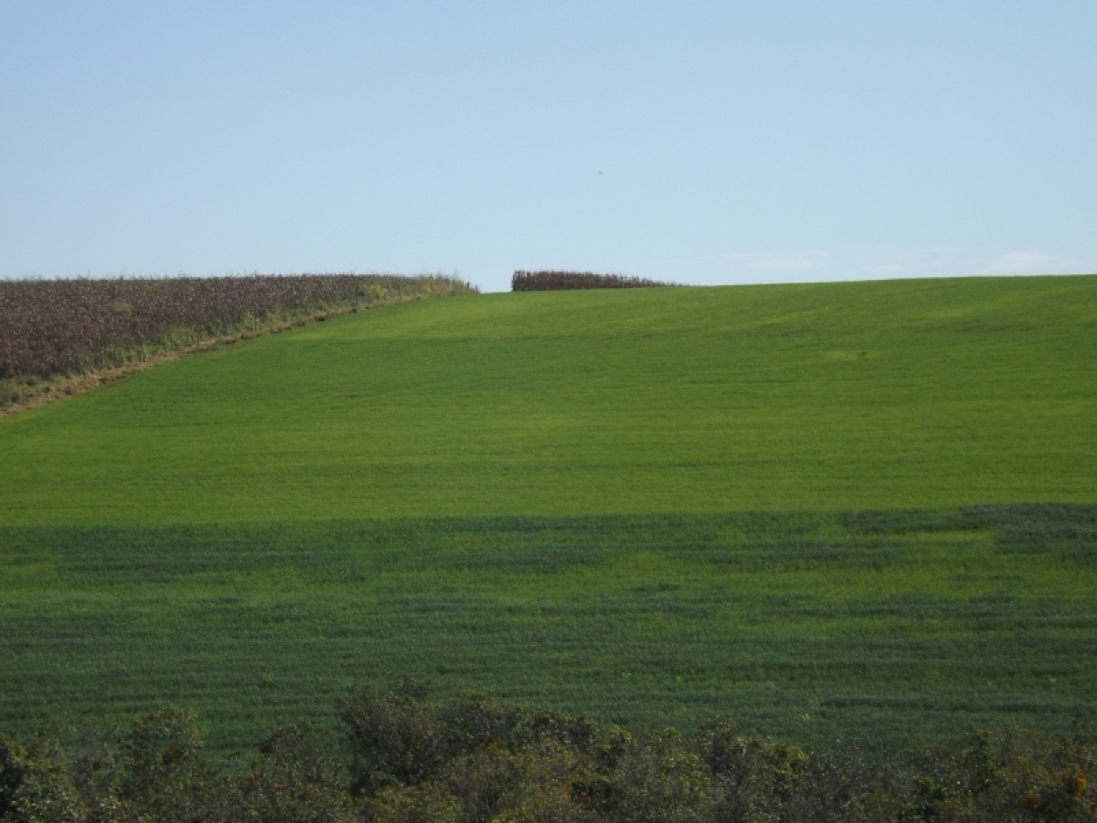 fazenda com 222 alq , com benfeitorias modestas