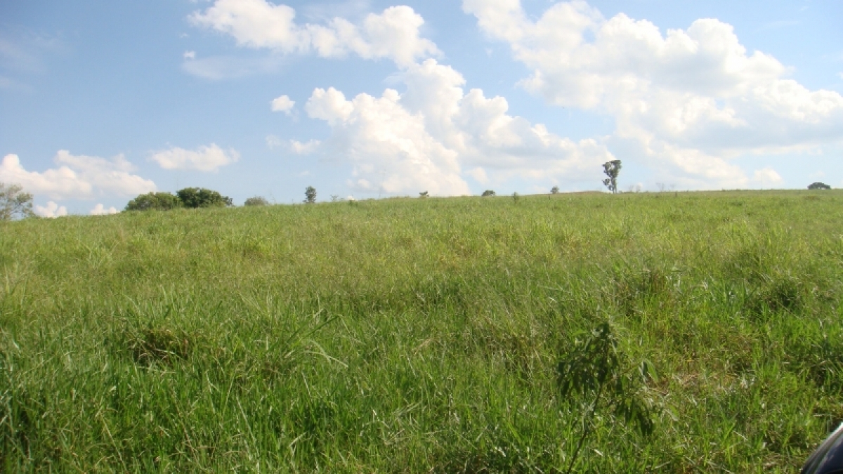 fazenda com 222 alq , com benfeitorias modestas