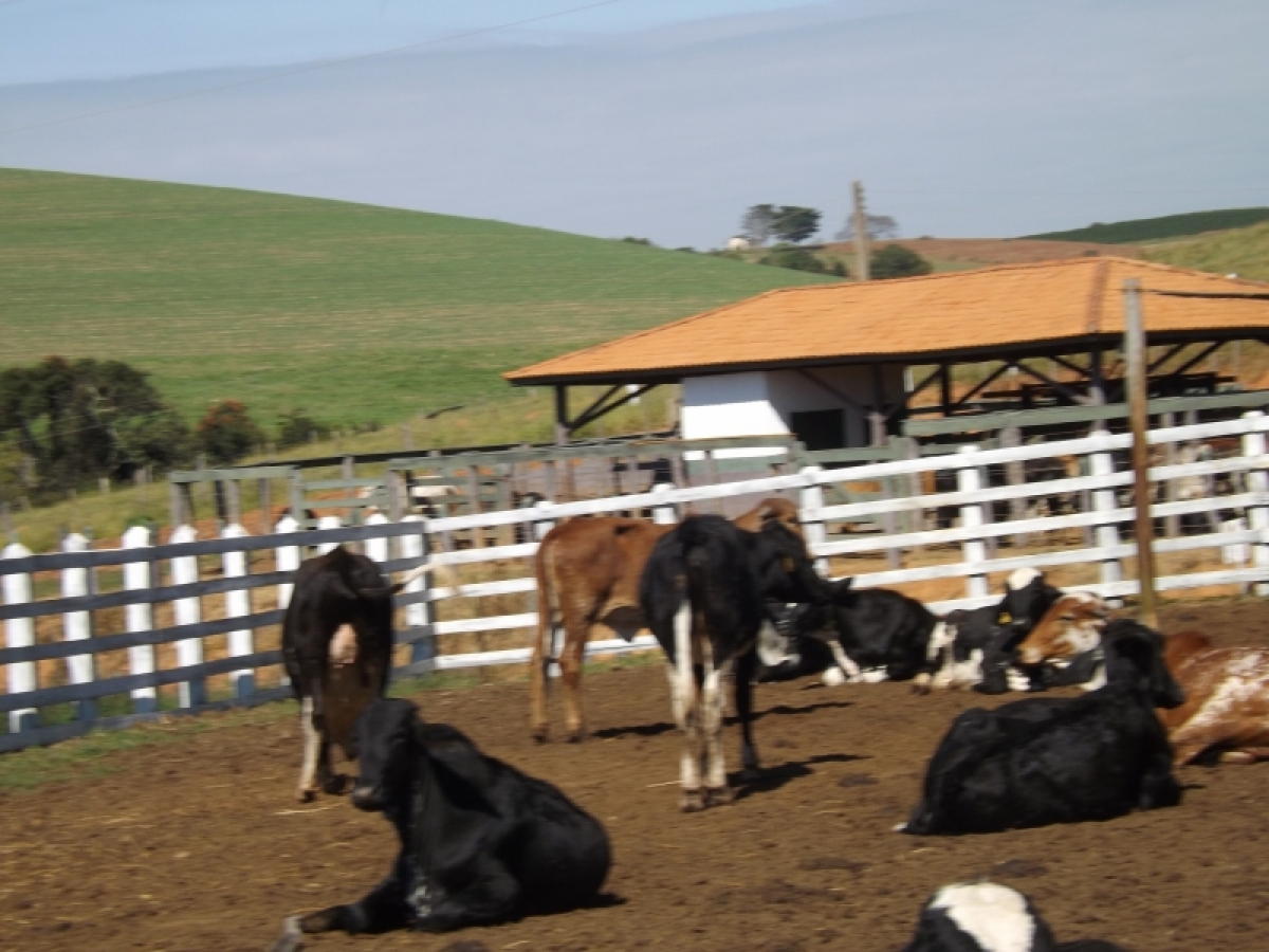 fazenda com 222 alq , com benfeitorias modestas