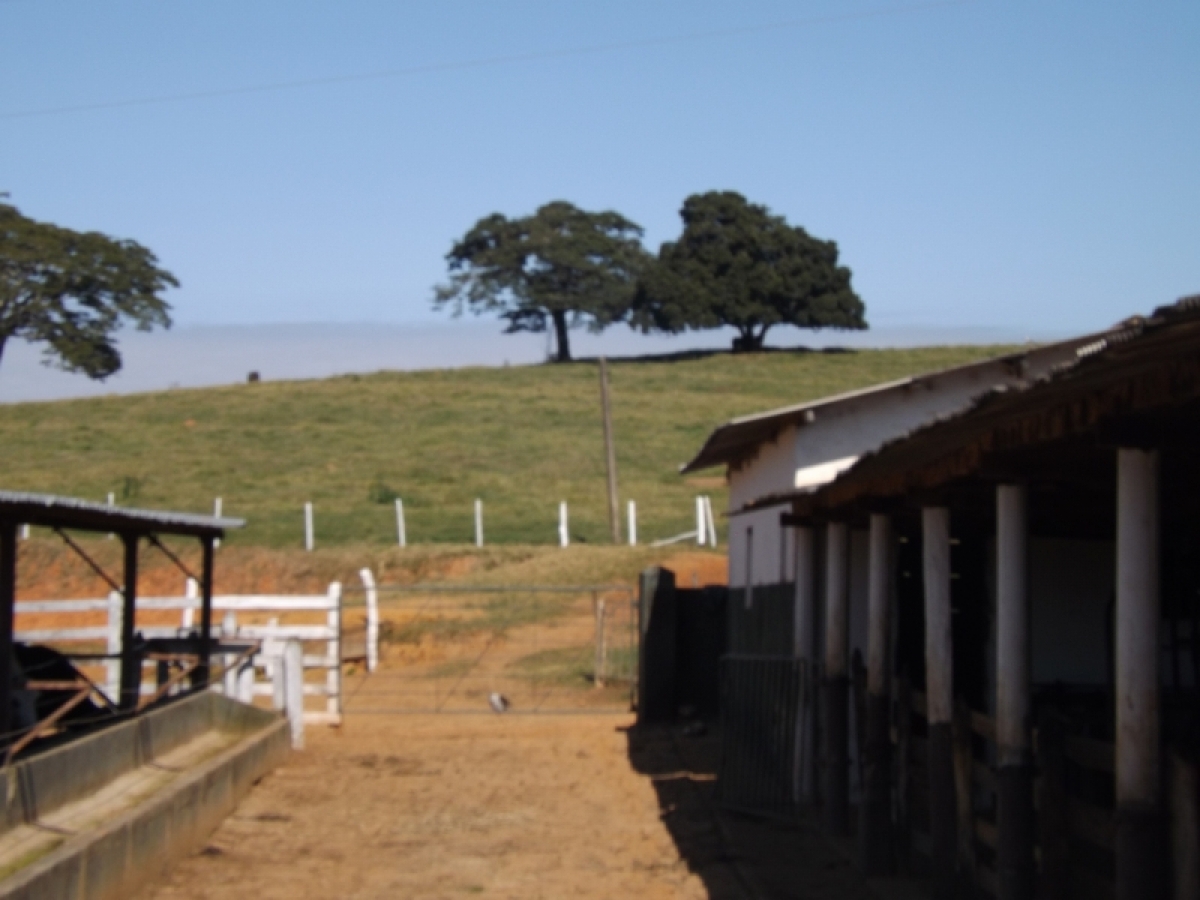 fazenda com 222 alq , com benfeitorias modestas