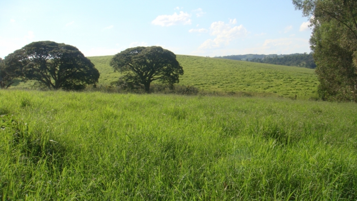 fazenda com 222 alq , com benfeitorias modestas