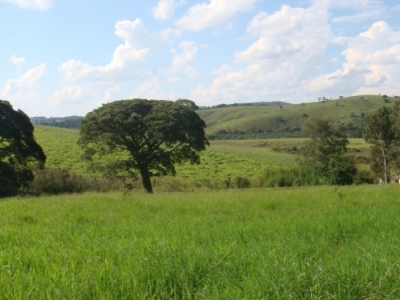 fazenda com 222 alq , com benfeitorias modestas