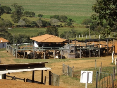 fazenda com 222 alq , com benfeitorias modestas