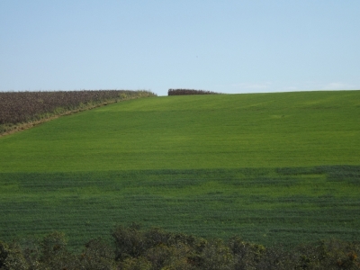 fazenda com 222 alq , com benfeitorias modestas