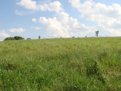 fazenda com 222 alq , com benfeitorias modestas