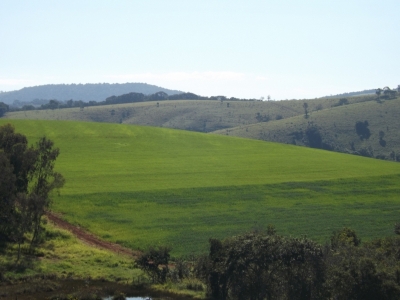 fazenda com 222 alq , com benfeitorias modestas