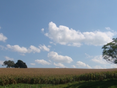 fazenda com 222 alq , com benfeitorias modestas