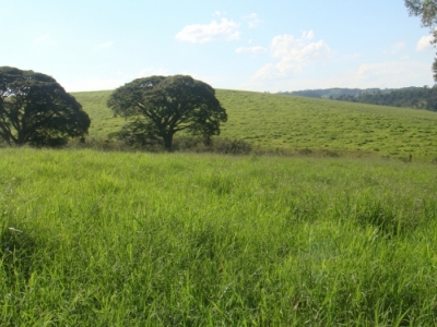 fazenda com 222 alq , com benfeitorias modestas