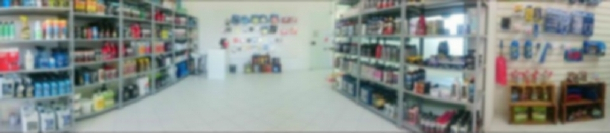 [OPORTUNIDADE] Venda Ecommerce Produtos Automotivos + Estoque Inicial