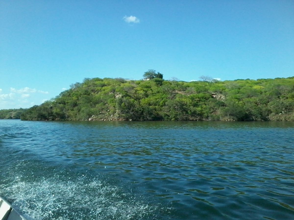 Fazenda na beira do Rio São Francisco. Oportunidade única. 