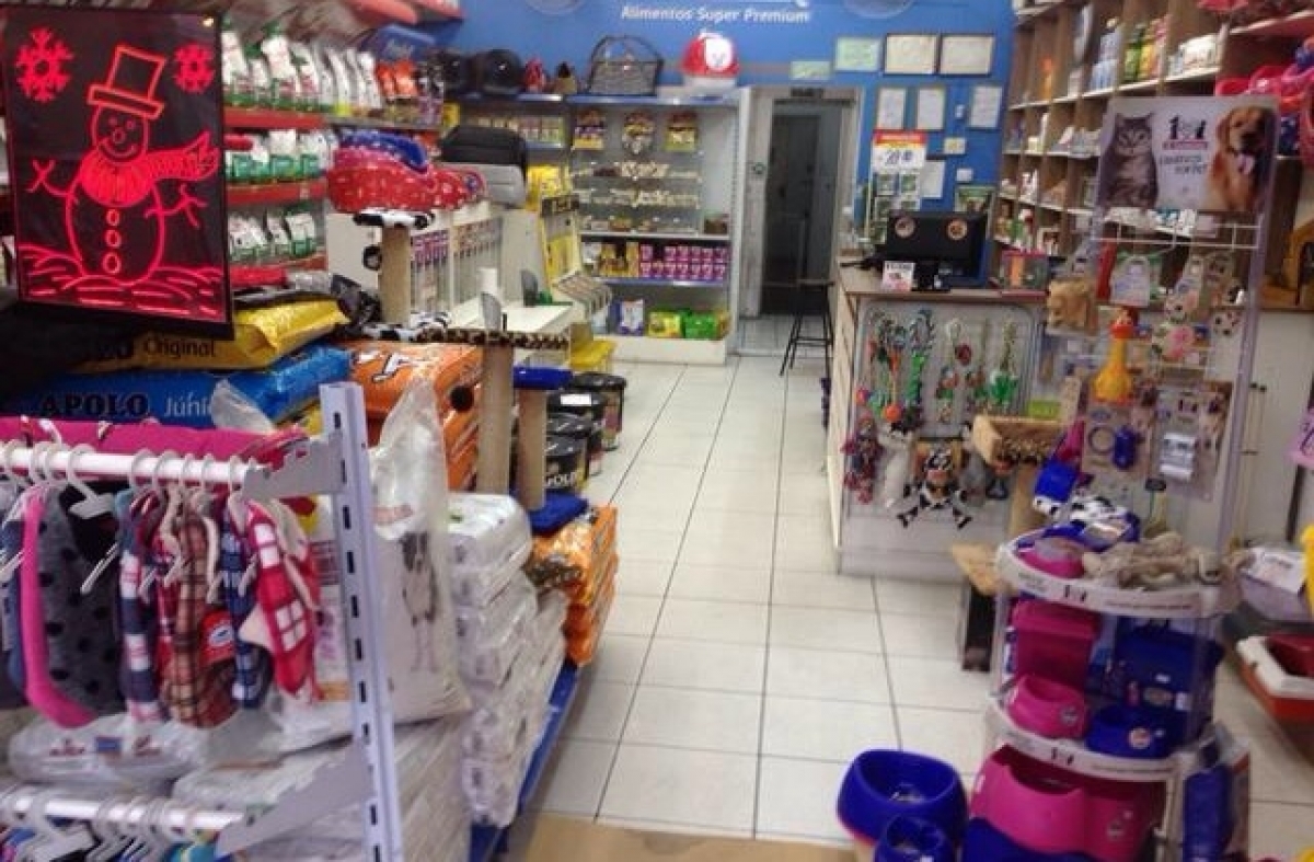 pet polo shopping